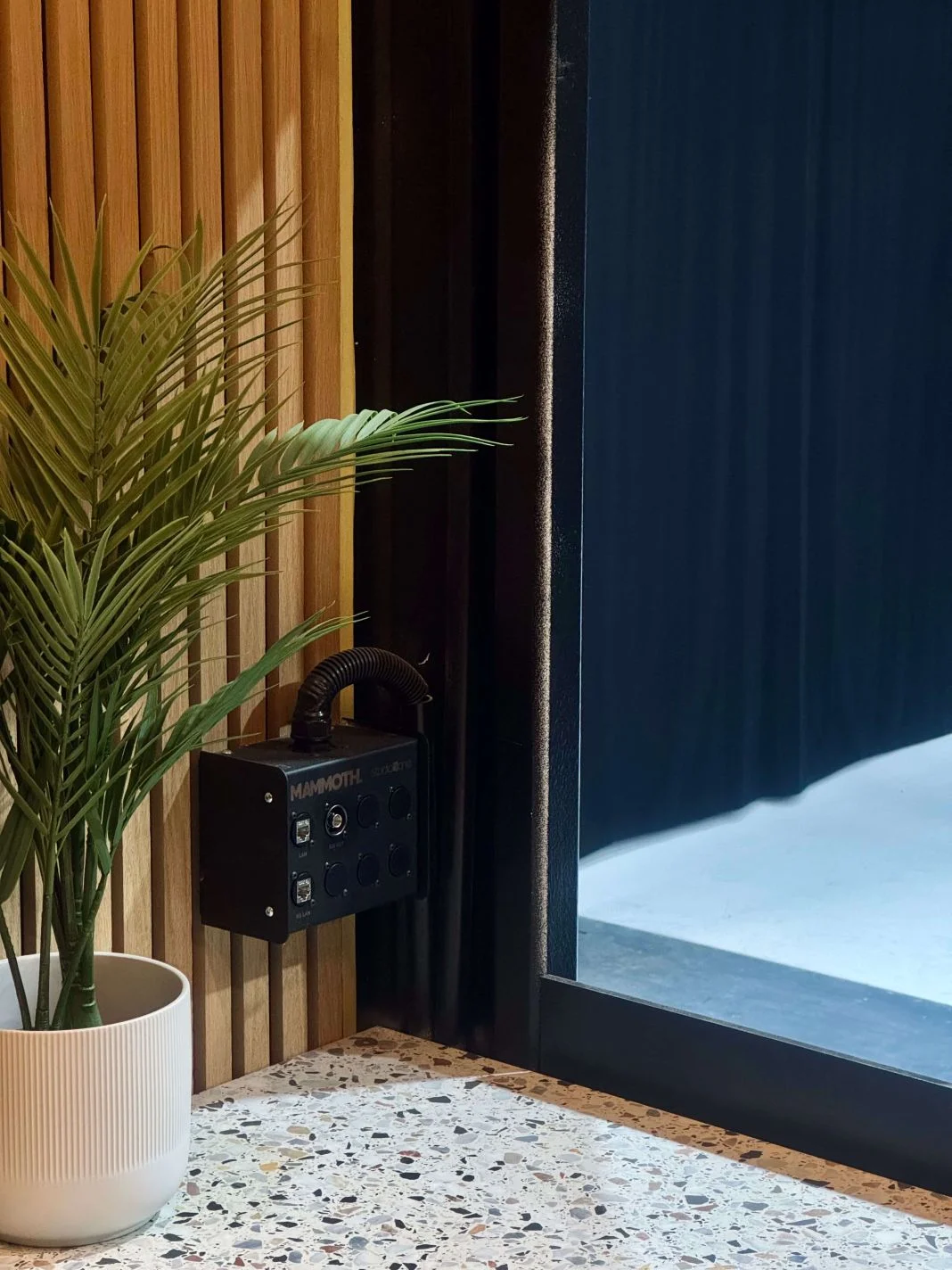 Potted plant next to a wall with wooden panels. A socket marked "MAMMOTH" is mounted below. A terrazzo surface is visible.